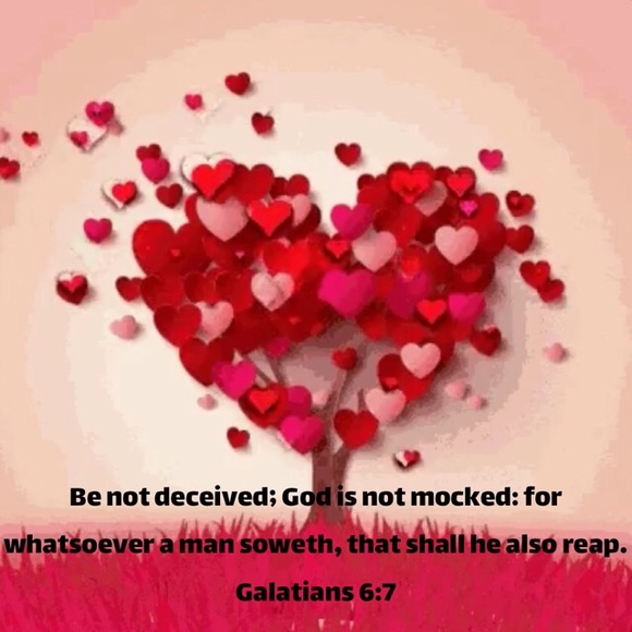 Follow my Daughter's Closet @luxurycgirls 💝 - Picture 4 of 6